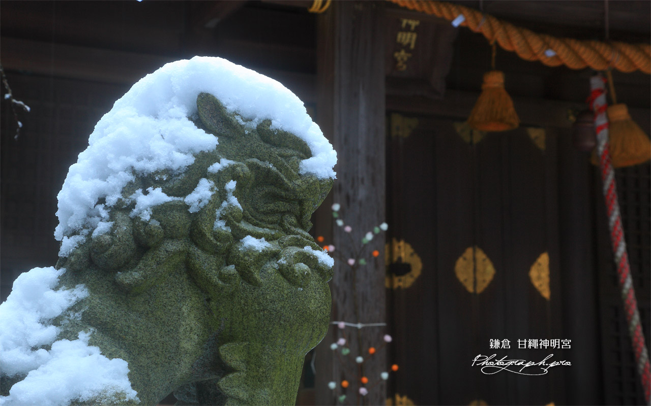 甘縄神明神社 冠雪した狛犬 壁紙