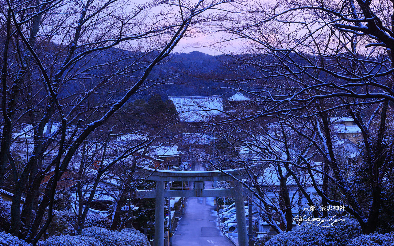 宗忠神社 淡雪の参道からの真如堂 壁紙
