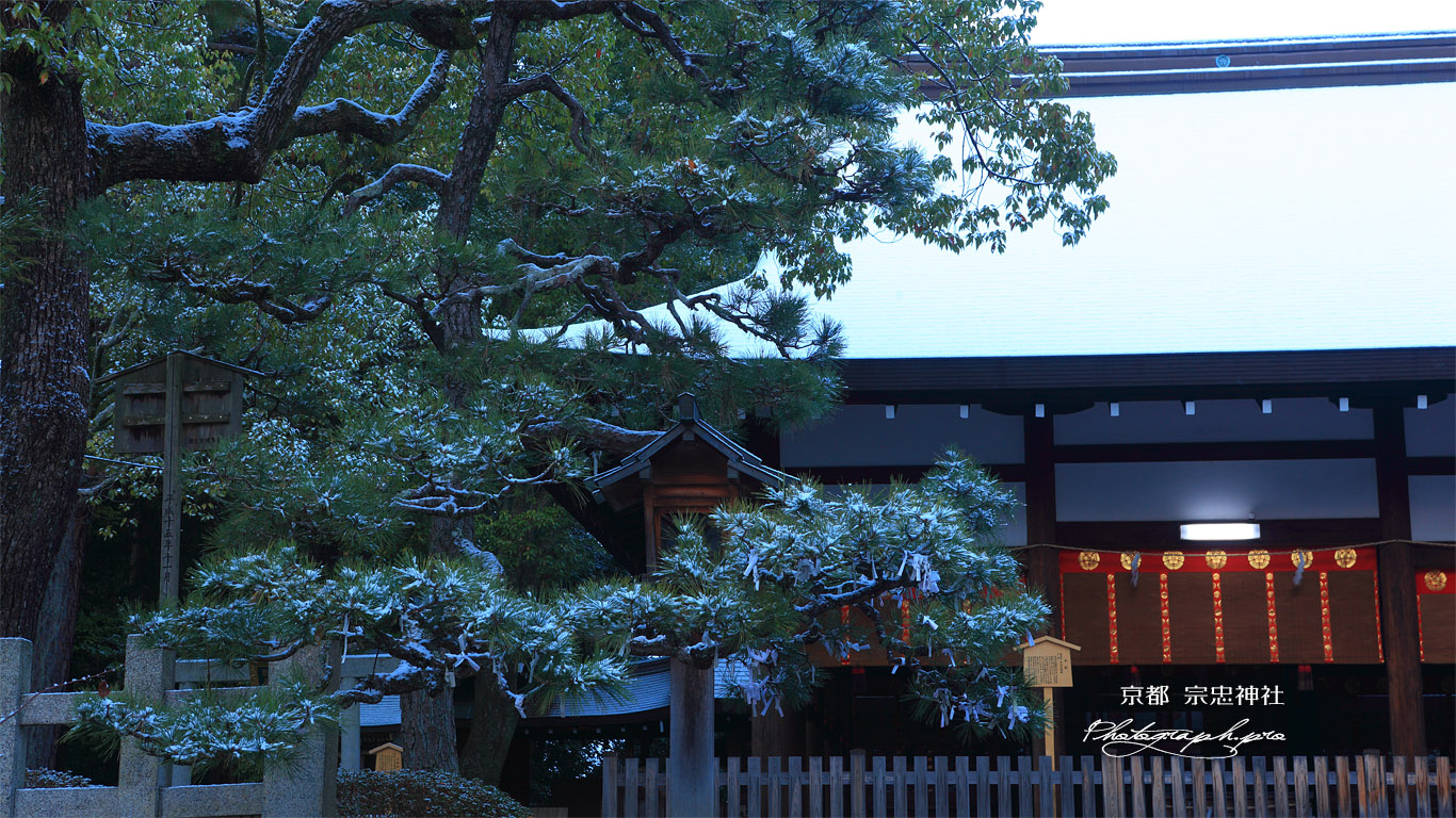 宗忠神社 淡雪の拝殿 壁紙