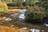 聖護院 泡雪の書院庭園