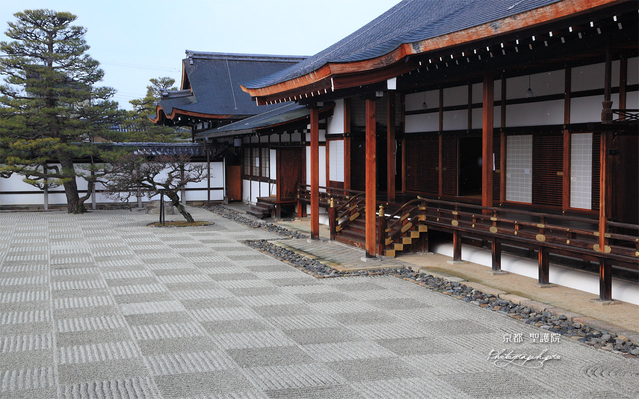 聖護院 細雪舞う宸殿 壁紙
