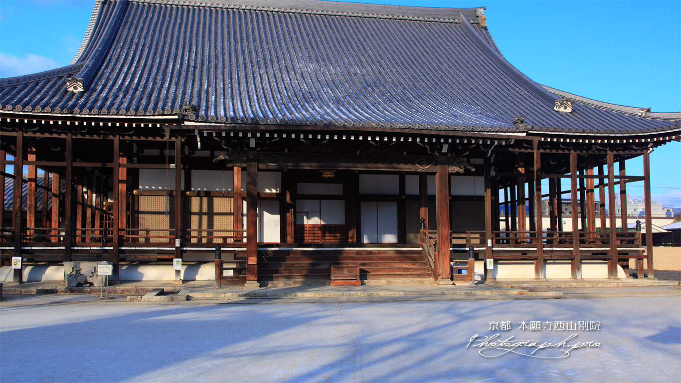 本願寺西山別院 淡雪の本堂 壁紙