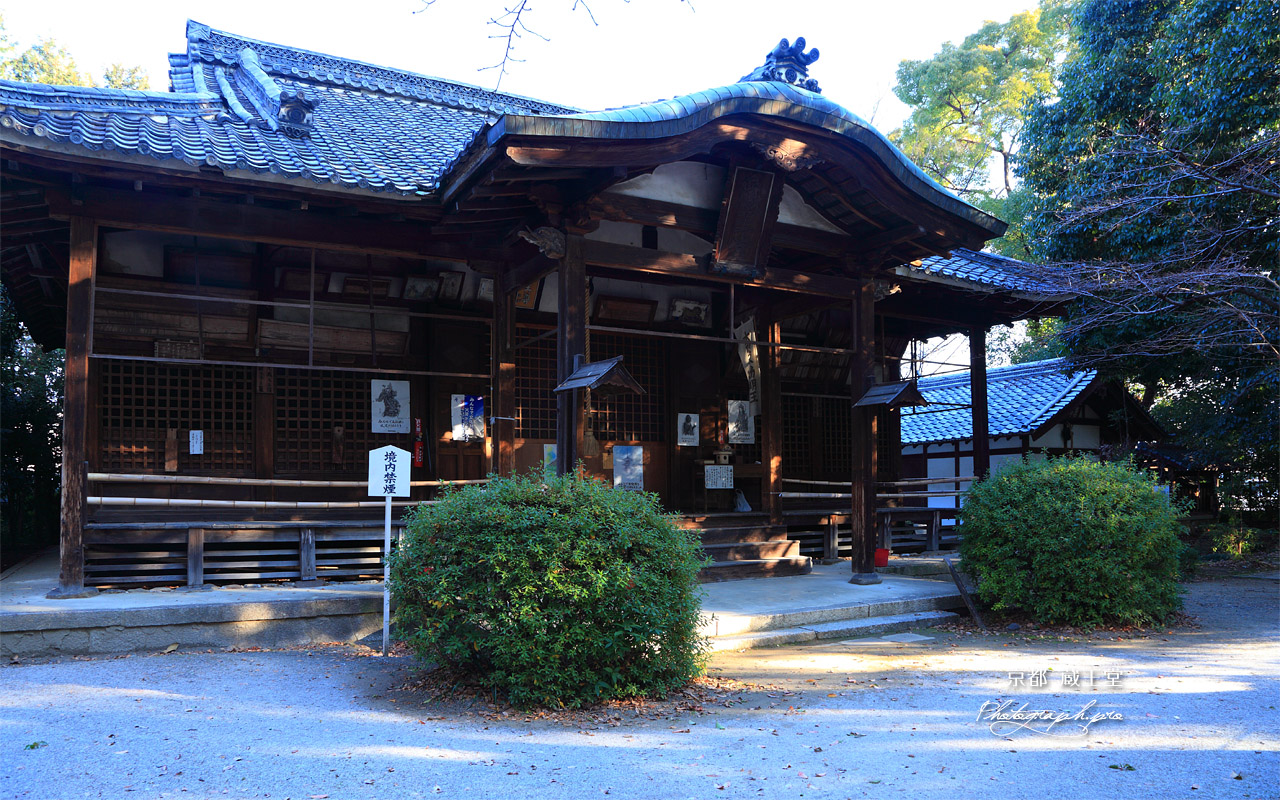 京都光福寺 淡雪の蔵王堂 壁紙