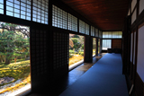 慈照院 客殿からの庭園