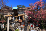 水火天満宮 梅と鳥居