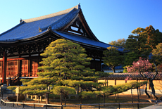 金戒光明寺