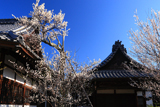 東北院