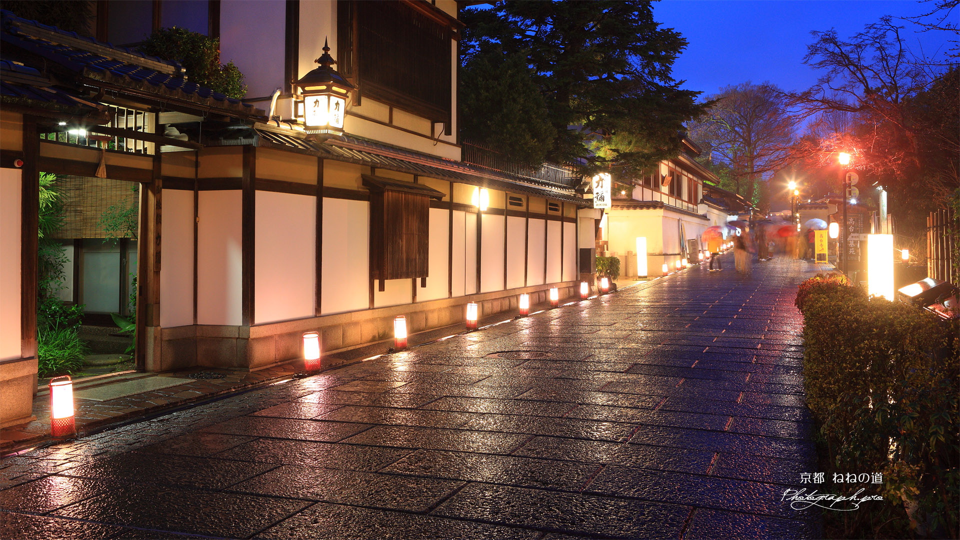 ねねの道の花灯路
