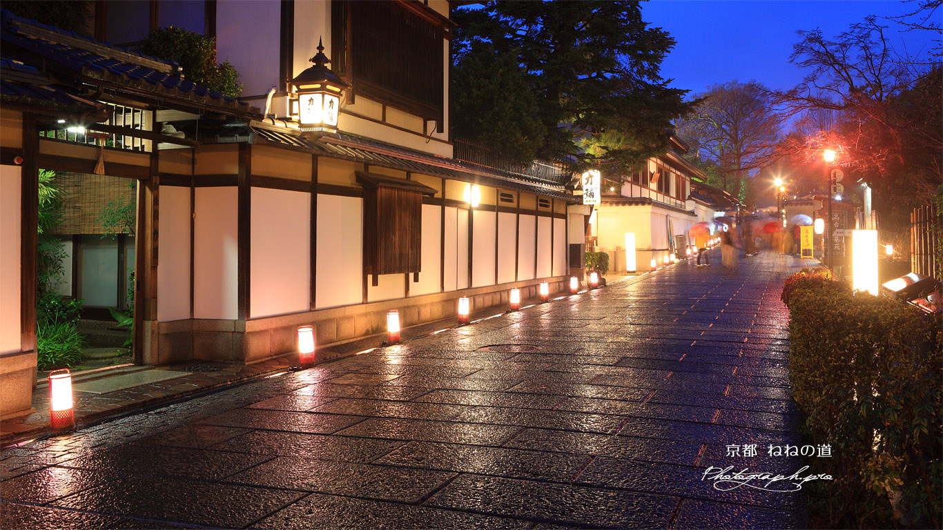 ねねの道の花灯路 壁紙