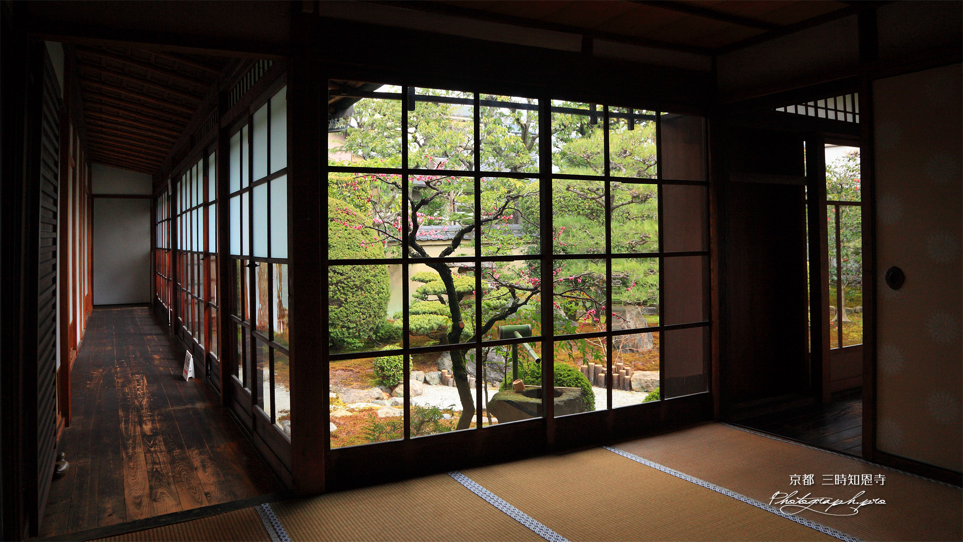 三時知恩寺 書院から梅咲く蓬莱の庭