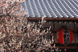 同聚院