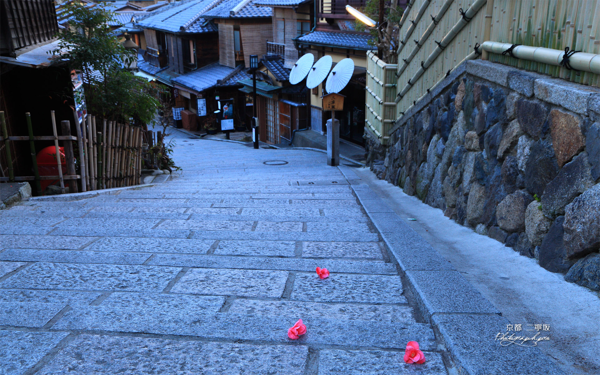 二寧坂の落椿