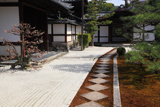 両足院 前庭の白梅