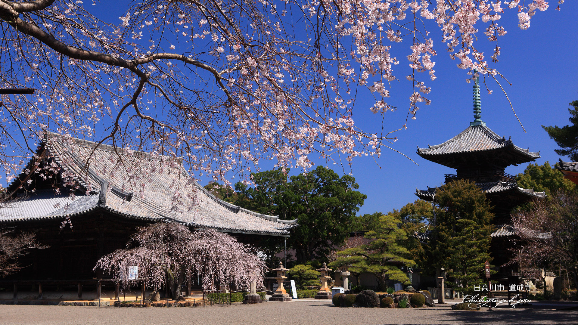 道成寺 本堂と三重塔