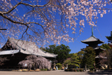 道成寺 本堂と三重塔