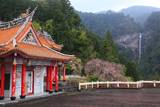 那智山奥の院の枝垂桜
