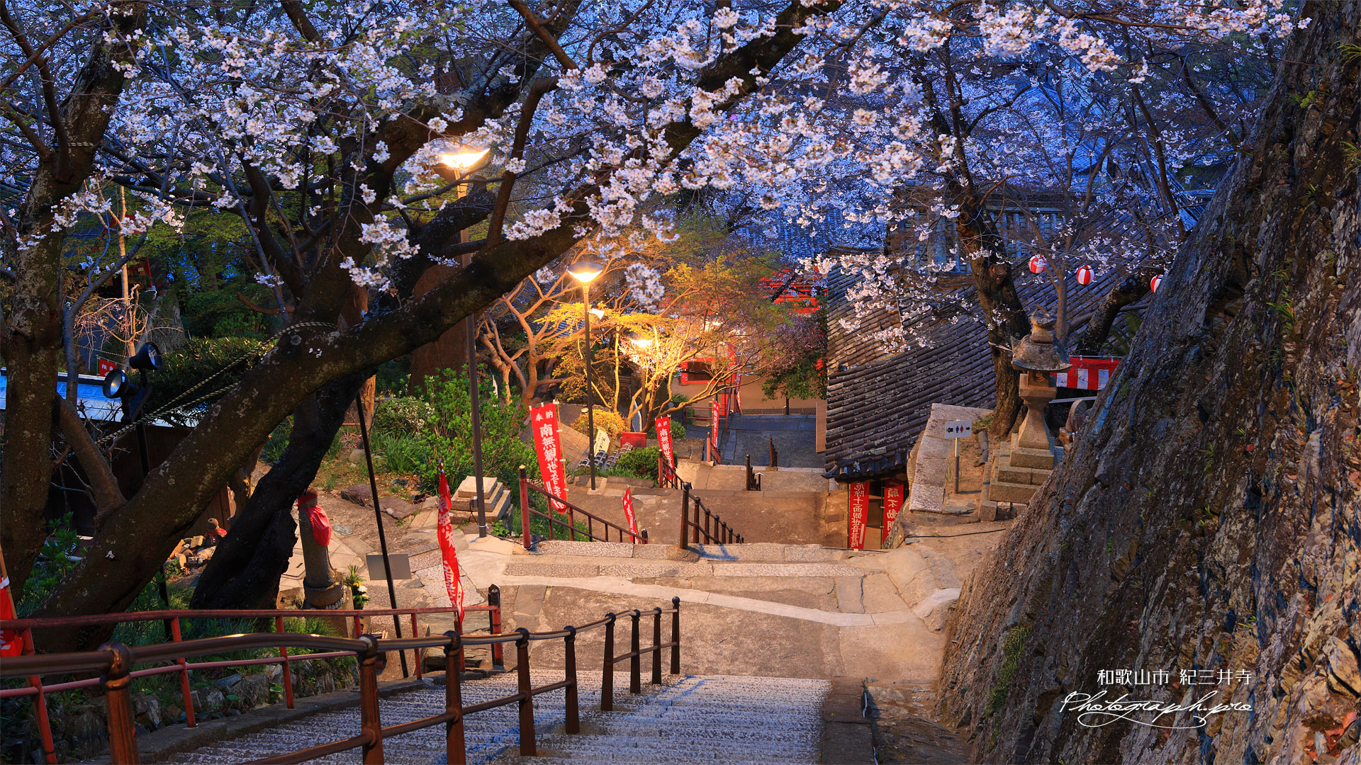 紀三井寺の桜 231段の石段