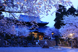 粉河寺の桜 粉河寺庭園