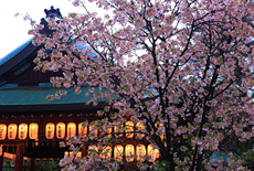 白峯神宮