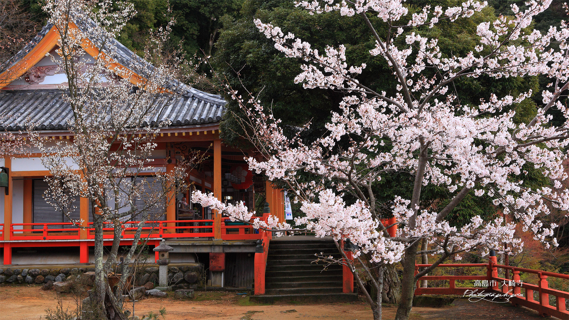 高島市 大崎寺