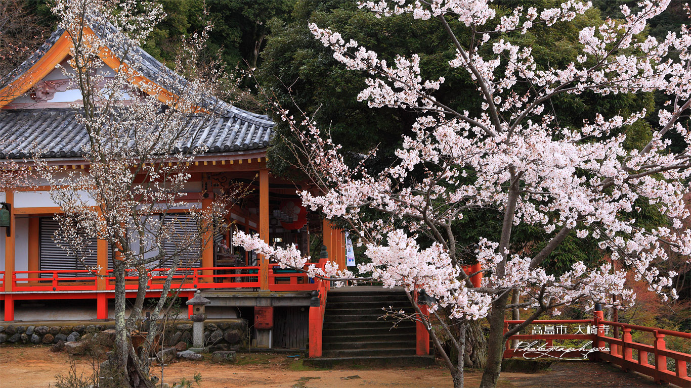 高島市 大崎寺 壁紙