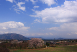 竹生の桜