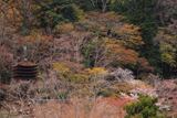 談山神社 桜と十三重塔