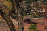 談山神社の桜