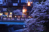 有馬温泉の桜 太閤橋