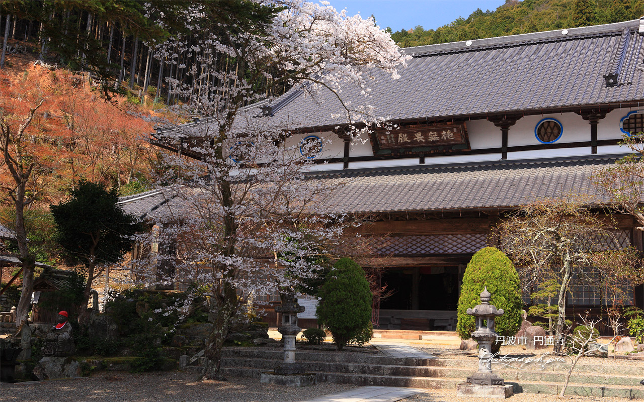 丹波市 円通寺本堂 壁紙