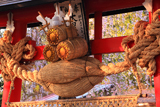 大星神社の枝垂れ桜