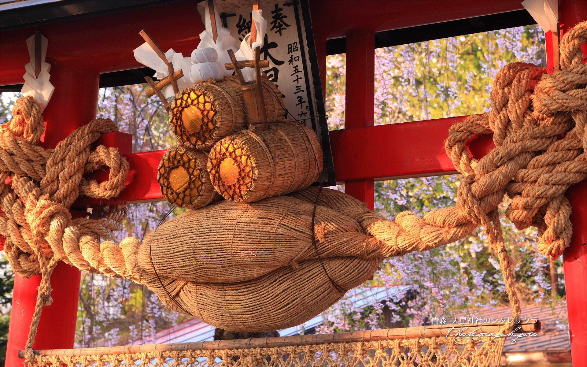 大星神社の枝垂れ桜