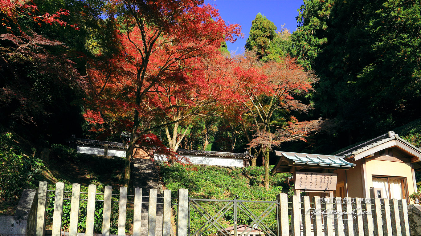 紅葉の後清閑寺陵 壁紙
