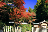 清閑寺 紅葉の後清閑寺陵
