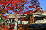 鳥辺山妙見堂 鳥居扁額と紅葉