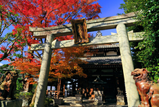 通妙寺