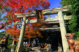 通妙寺