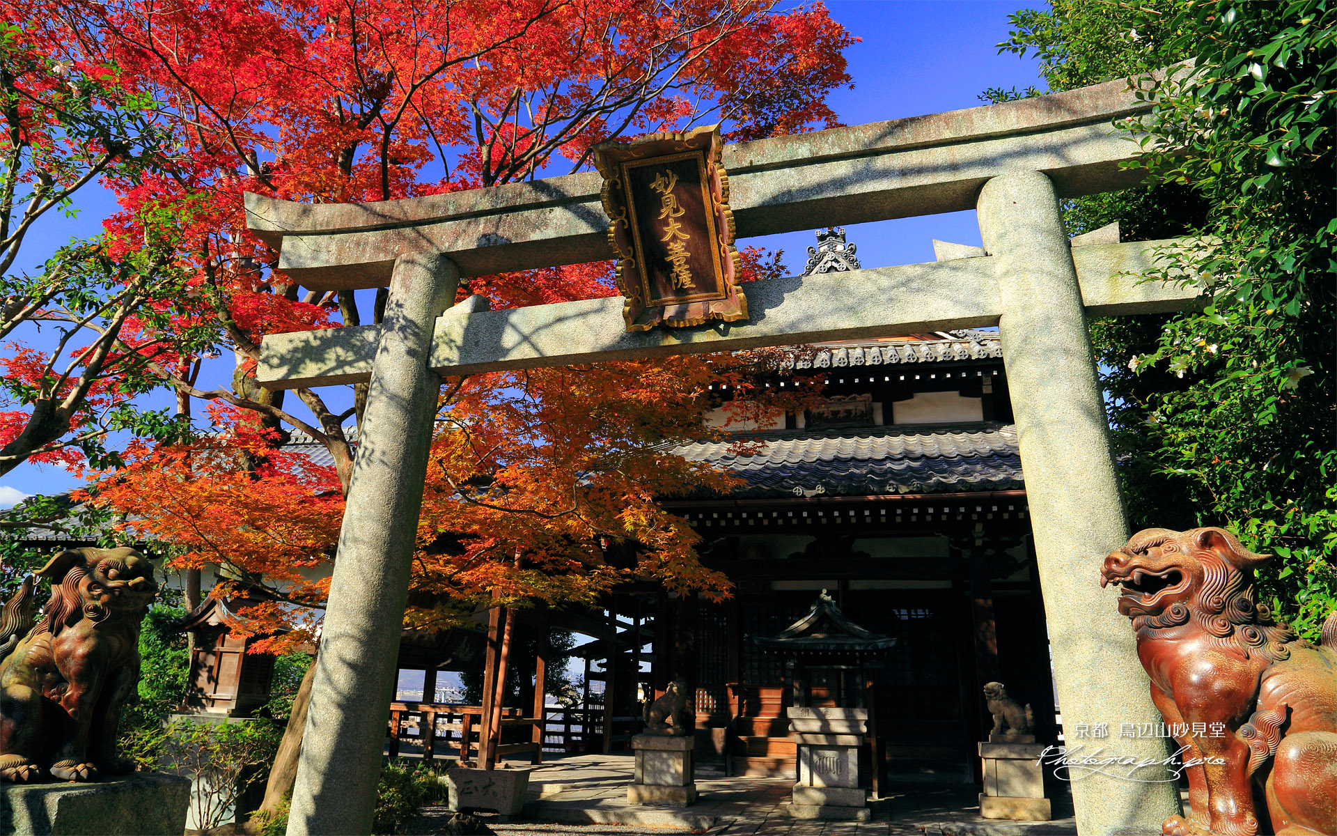 鳥辺山妙見堂 紅葉と妙見堂