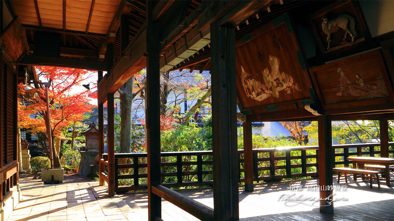 鳥辺山妙見堂 絵馬堂からの紅葉 壁紙