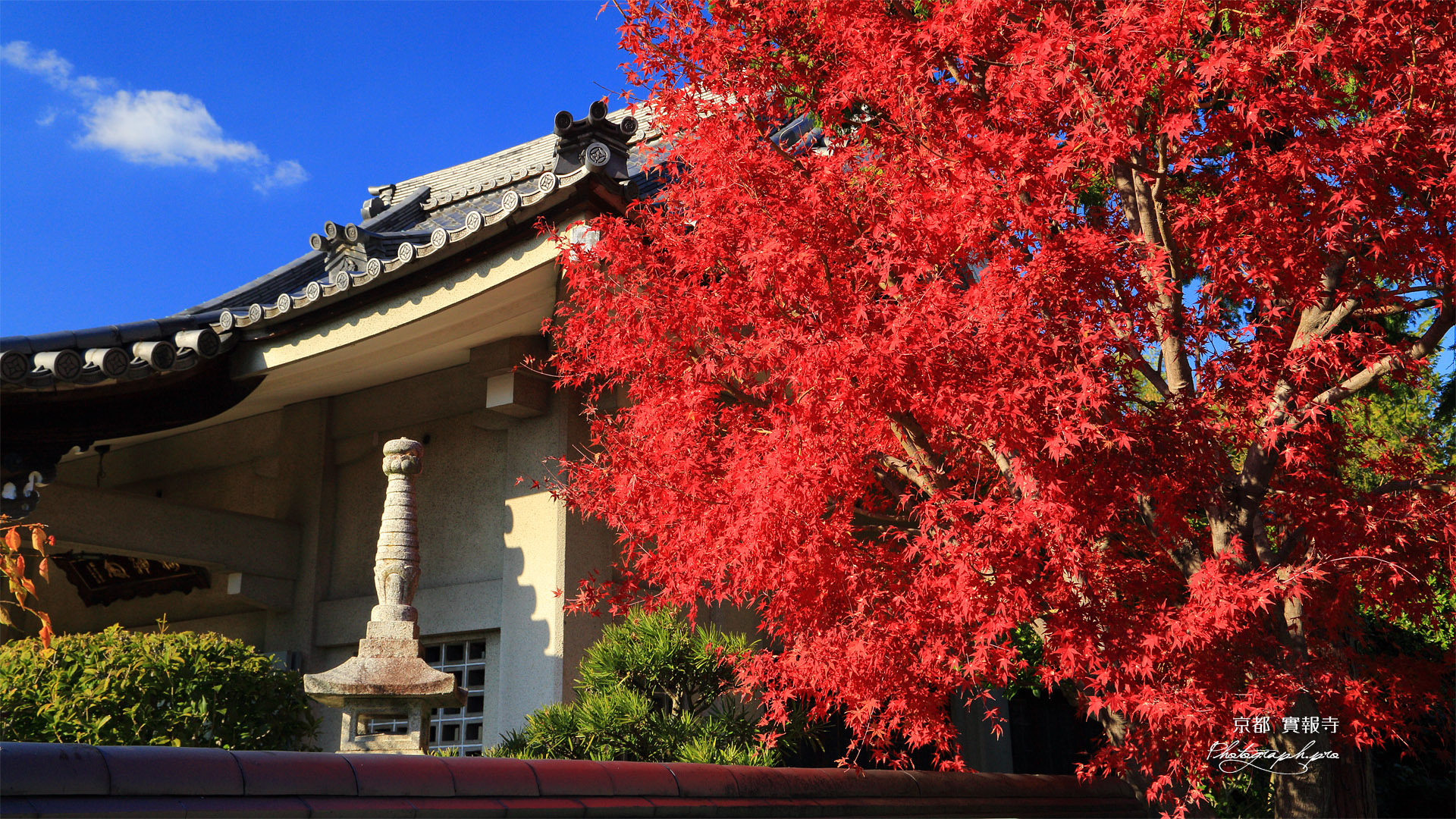 実報寺 紅葉と本堂