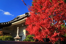 実報寺
