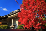 実報寺
