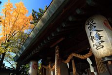若宮八幡宮