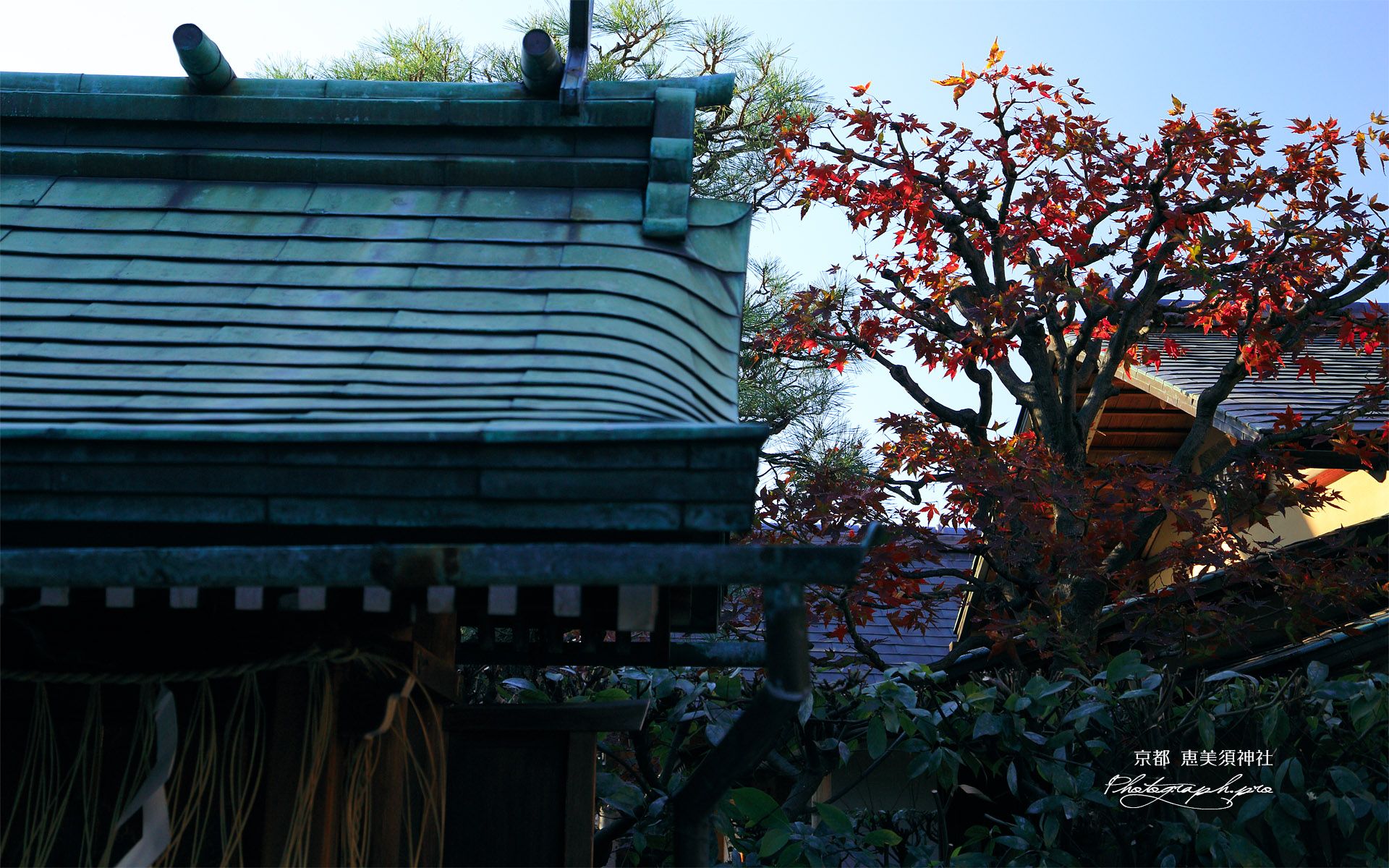 恵美須神社 末社と紅葉