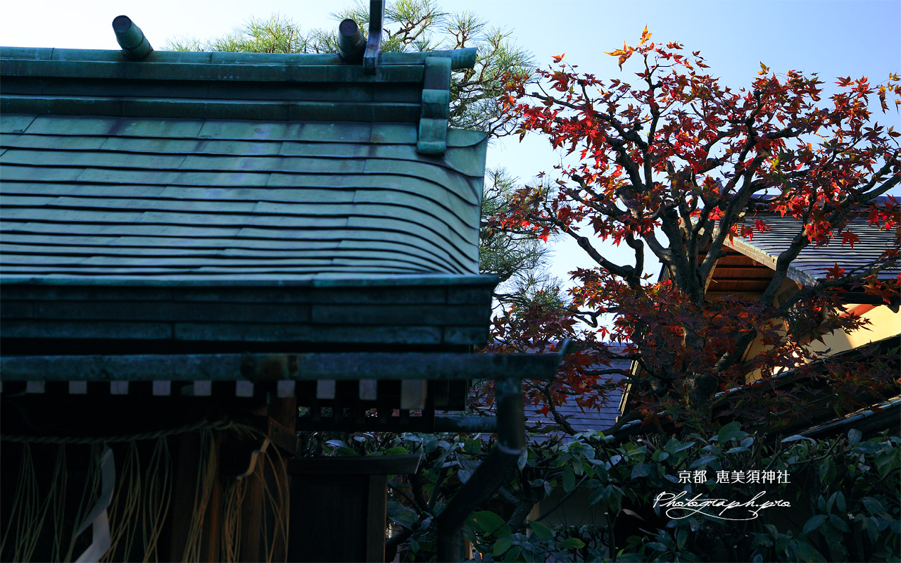恵美須神社 末社と紅葉 壁紙