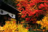 霊山正法寺 本堂と紅葉