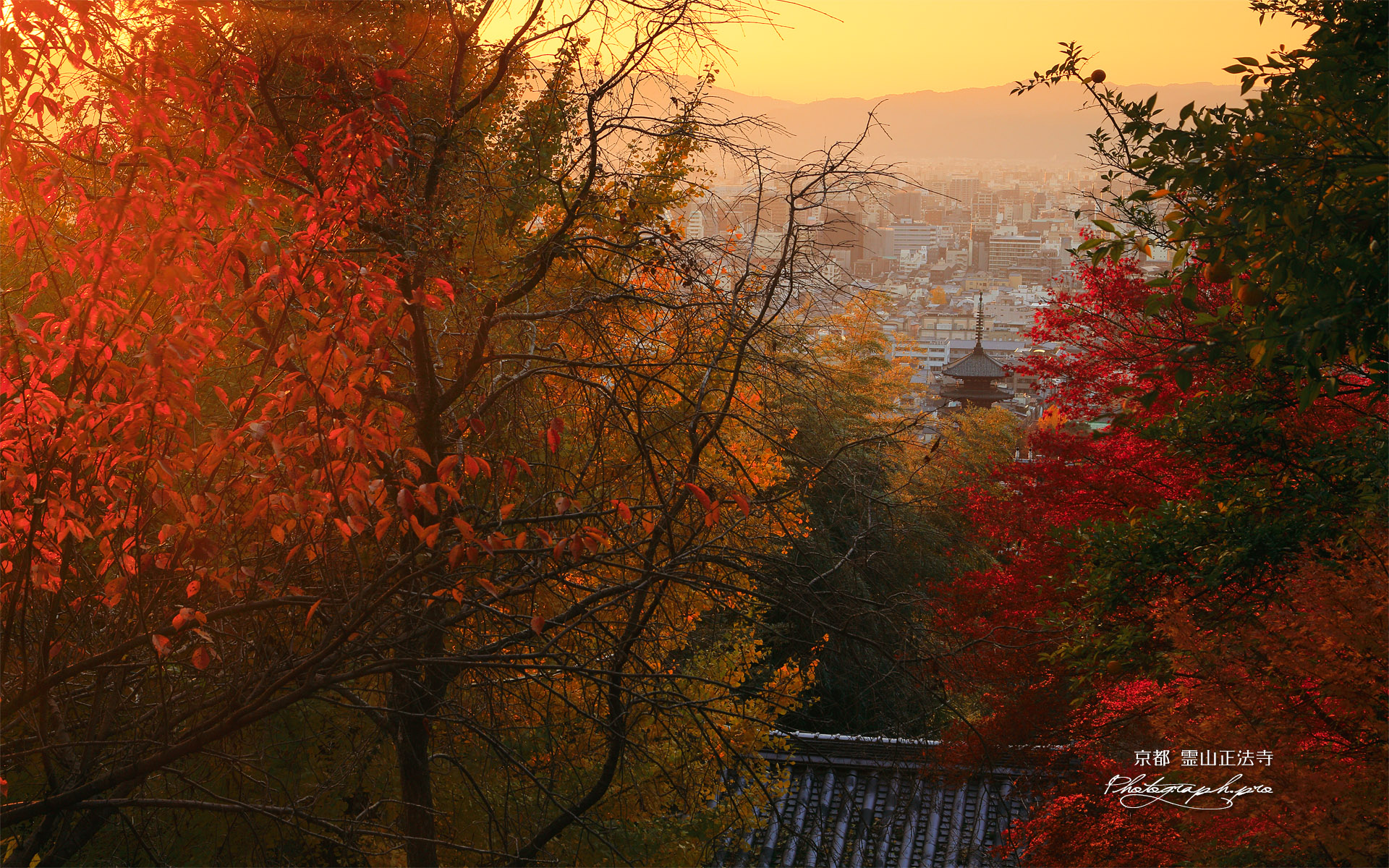 霊山正法寺 紅葉越しの山門と京都市街