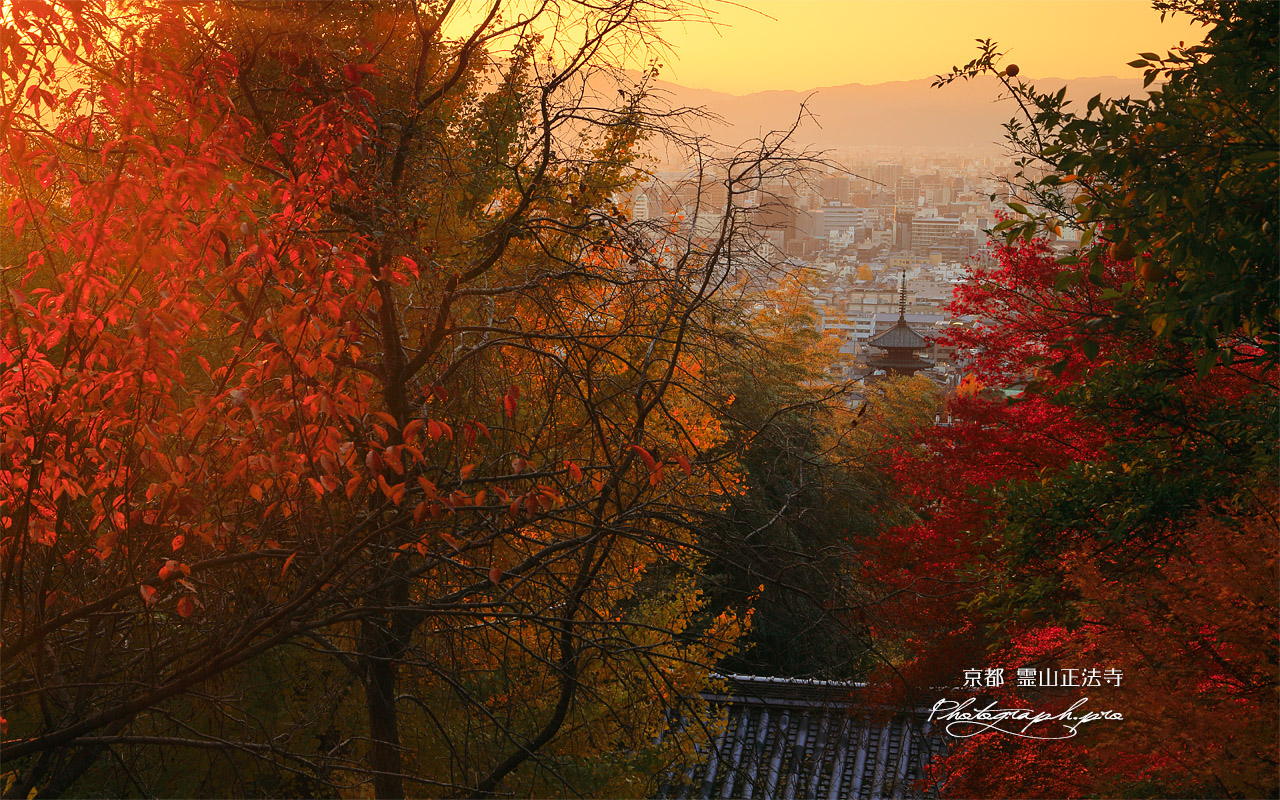 霊山正法寺 紅葉越しの山門と京都市街 壁紙