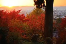 正法寺