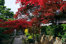 天球院